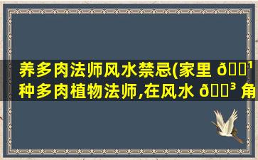 养多肉法师风水禁忌(家里 🌹 种多肉植物法师,在风水 🐳 角度讲好吗)